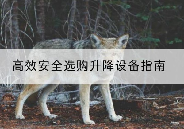 巴东升降货梯厂家推荐-*安全选购升降设备指南