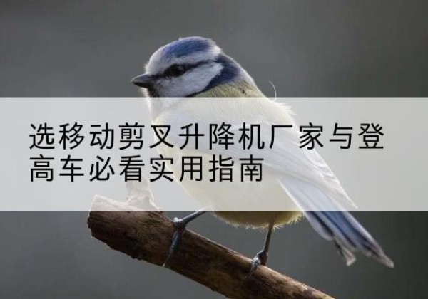 巴东电动升降机厂家-选移动剪叉升降机厂家与登高车必看实用指南